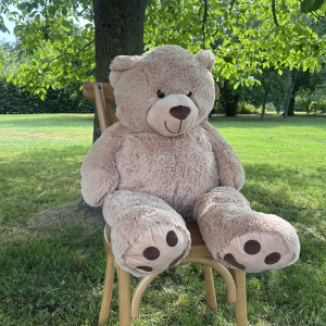 Ours en peluche XL